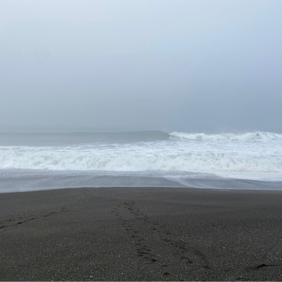 Meet your Posher, Heather - Picture 1 of 1